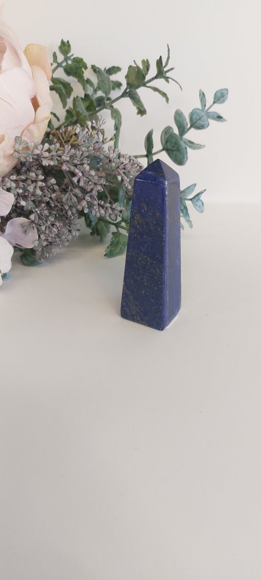 Lapis Lazuli point