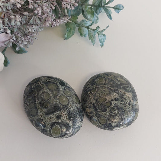 Kambaba Jasper Palmstone