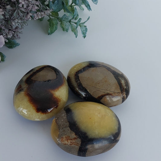 Septarian Palmstone