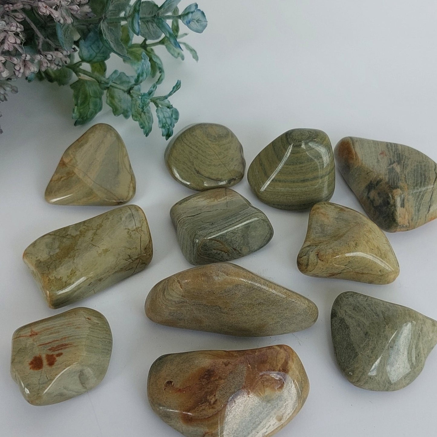 Green Silver Leaf Jasper - Tumbled - Large