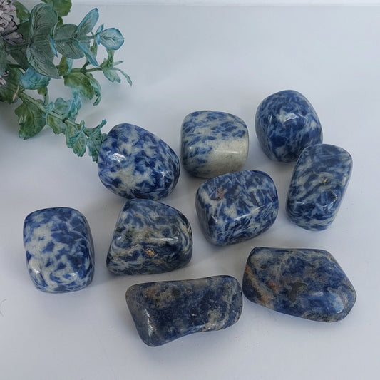 Sodalite - Tumbled - Large