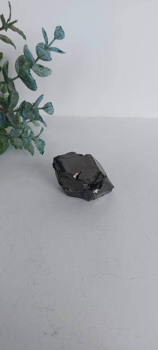 Elite Shungite