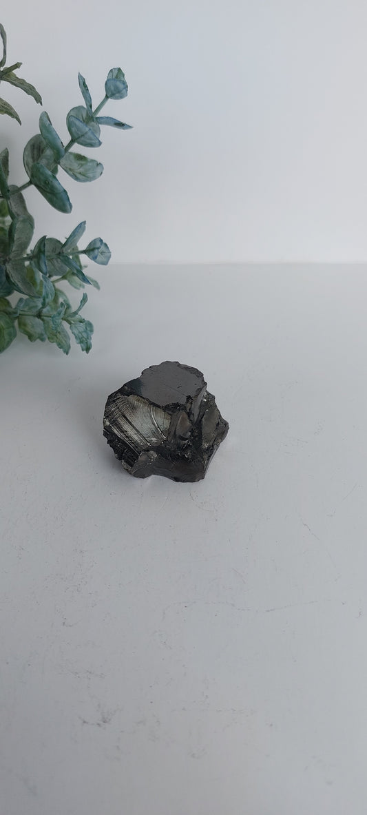 Elite Shungite