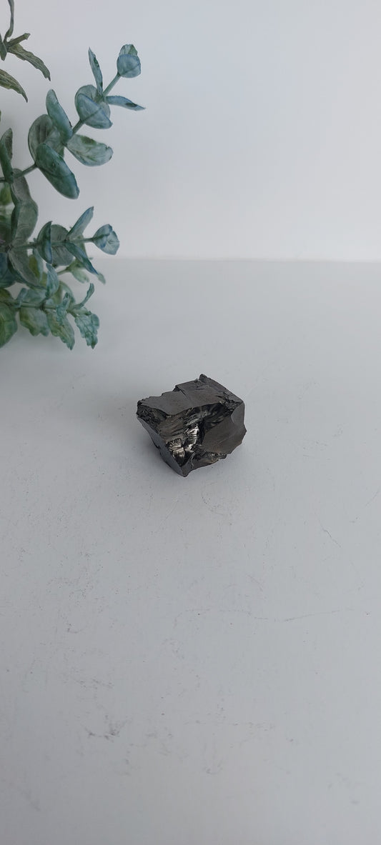 Elite Shungite