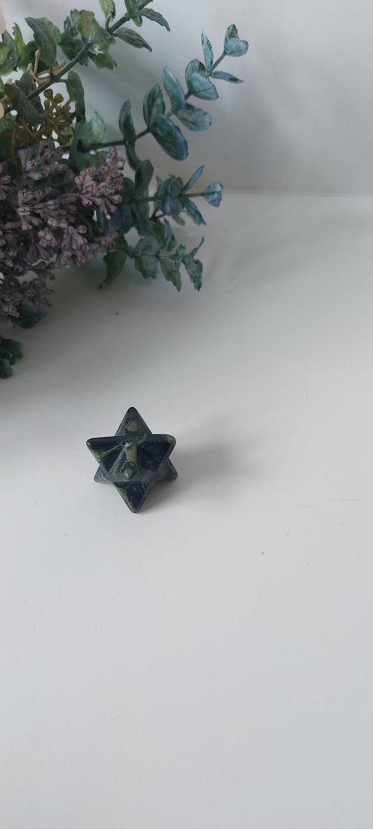 Kambaba Jasper Merkabah