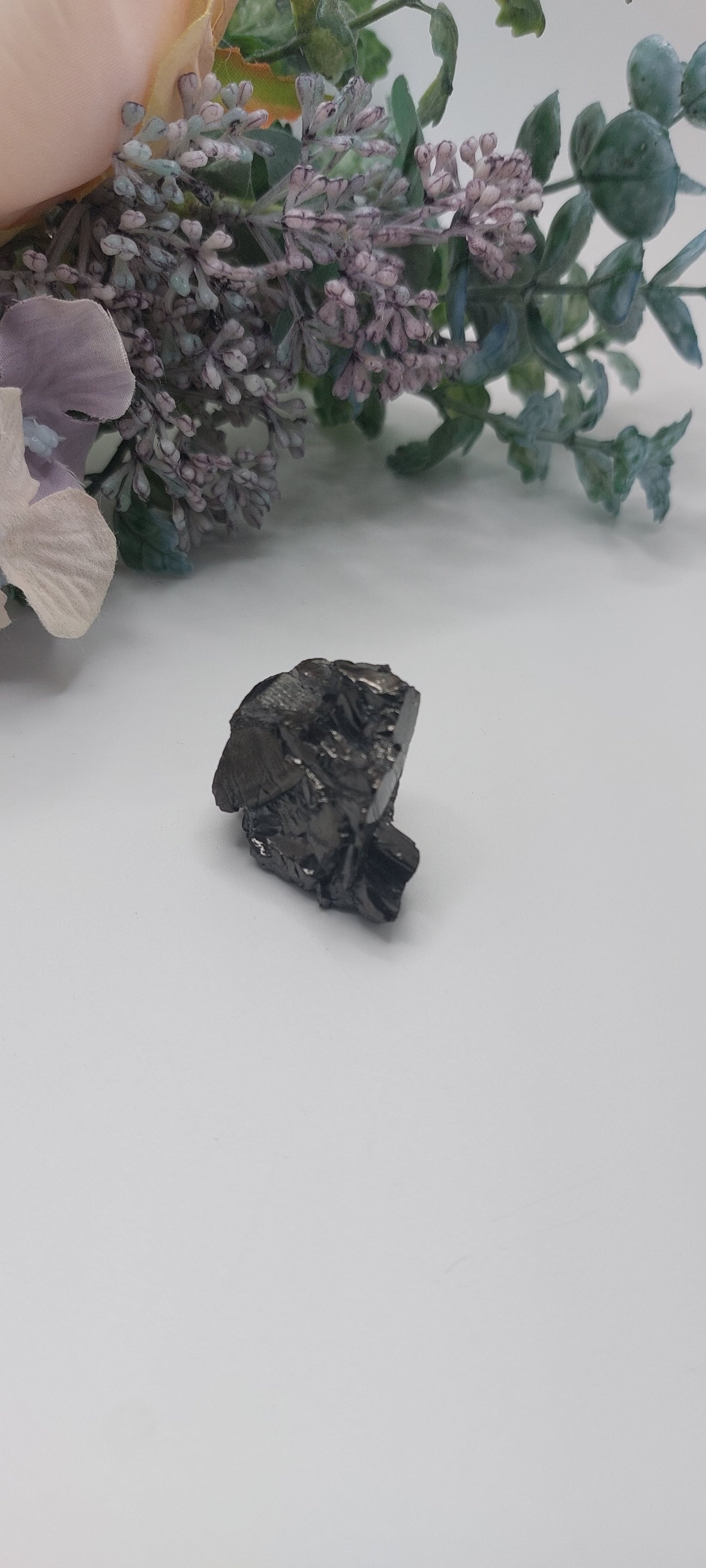 Elite shungite