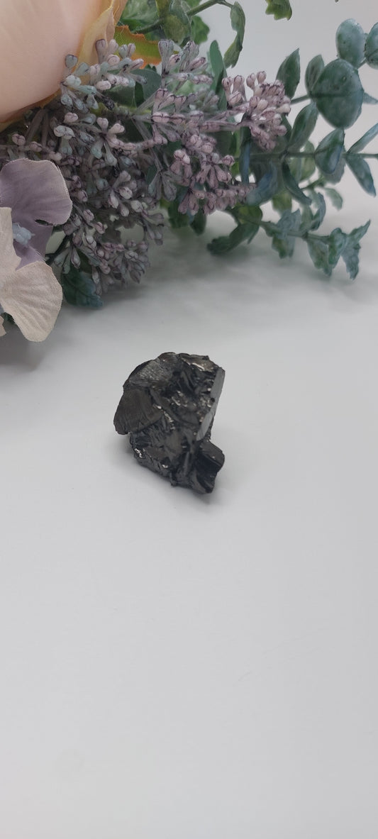 Elite shungite