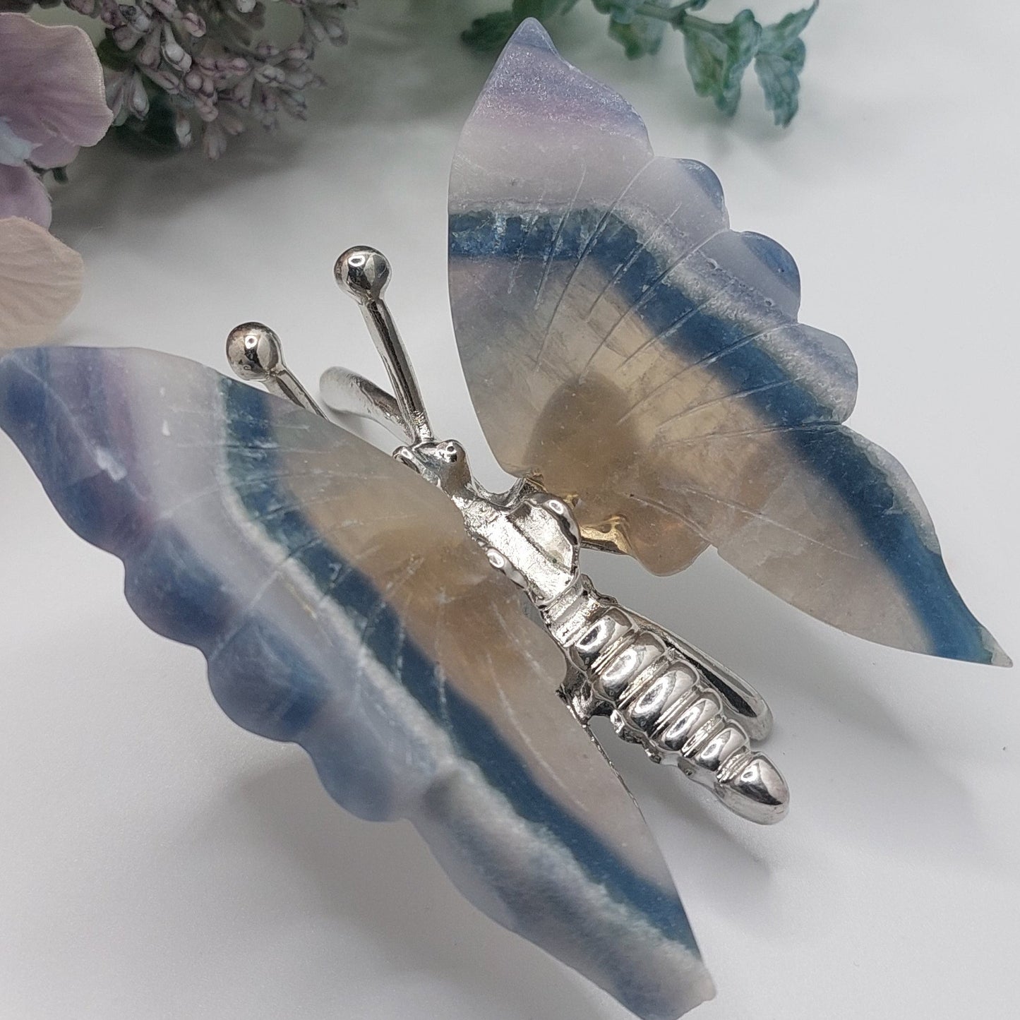 Silky Fluorite Butterfly