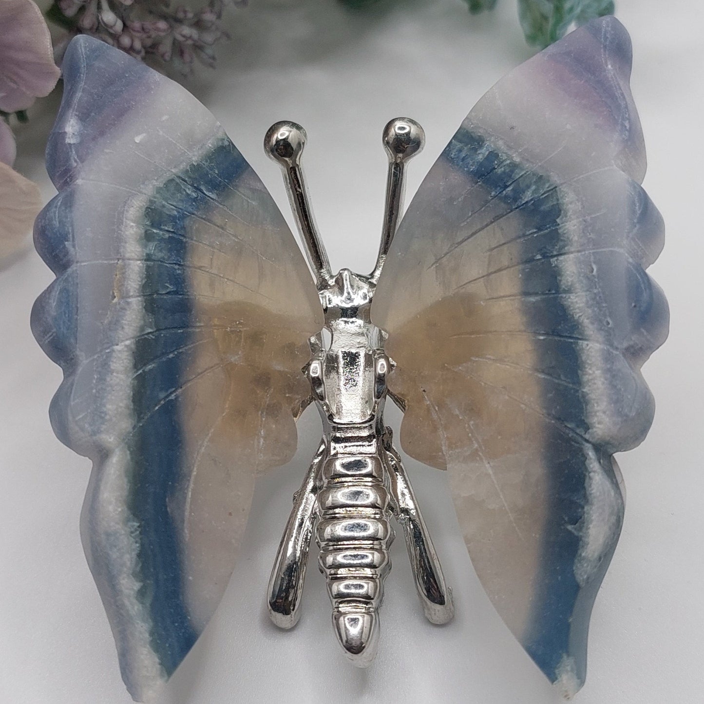 Silky Fluorite Butterfly