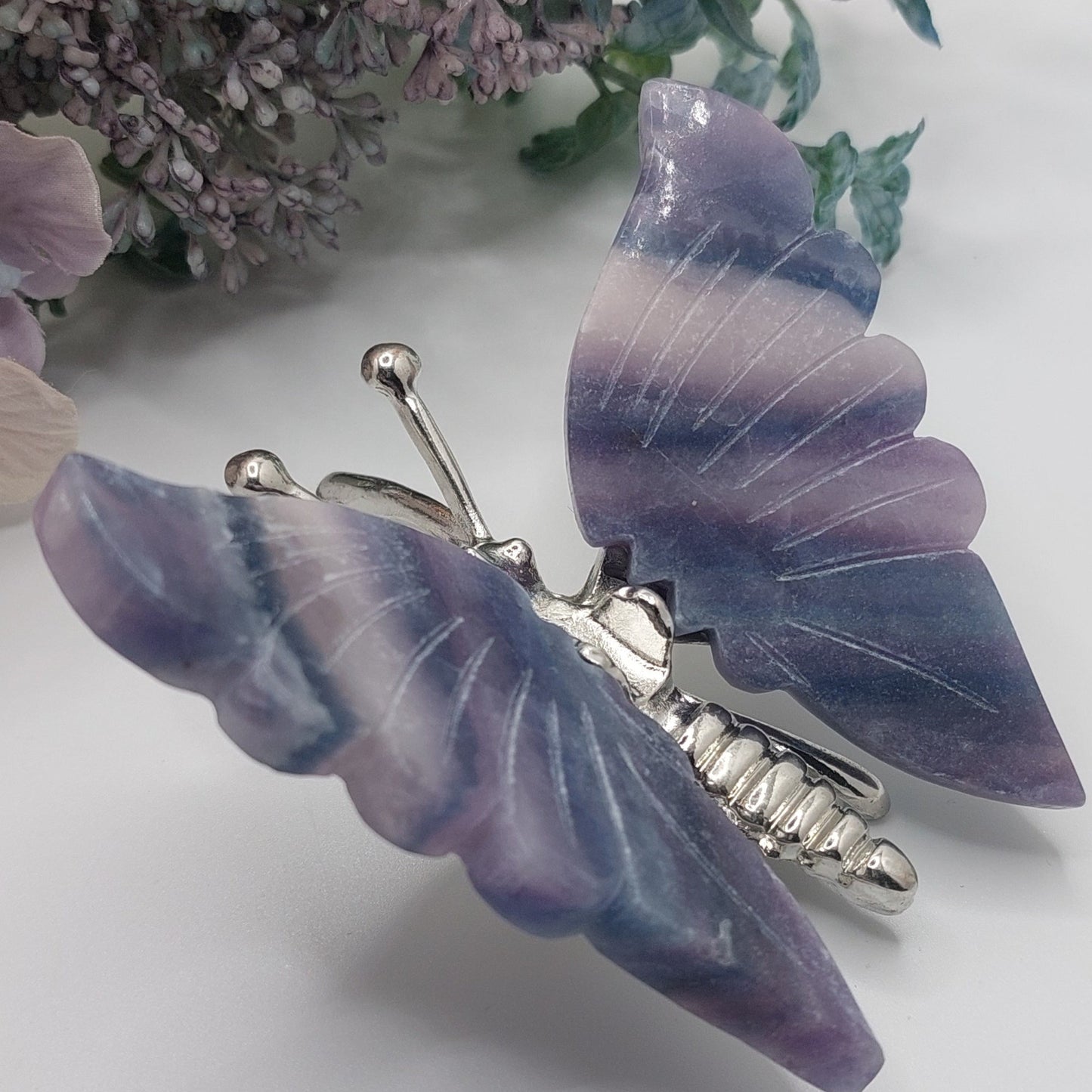 Silky Fluorite Butterfly