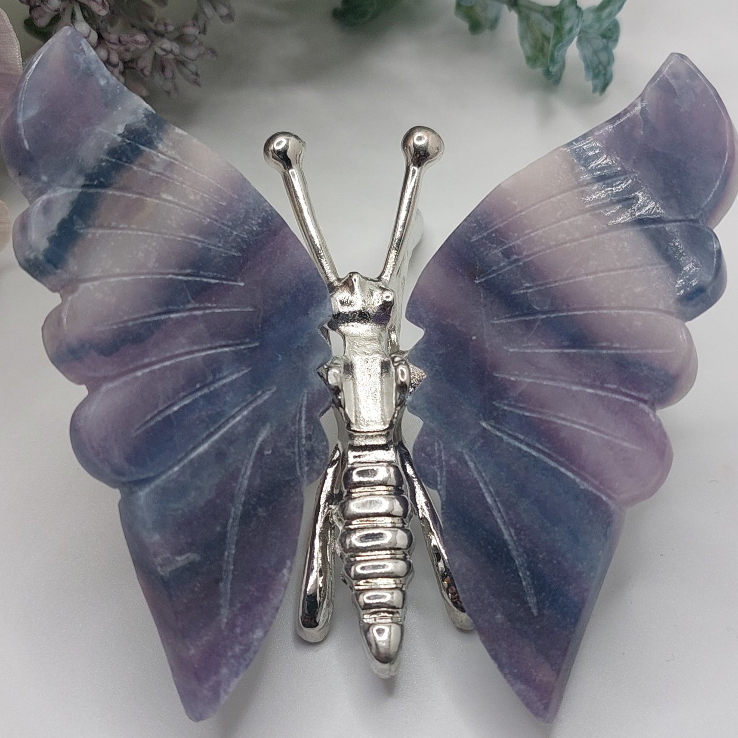 Silky Fluorite Butterfly