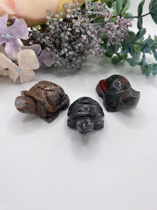 Carved Turtles - Assorted