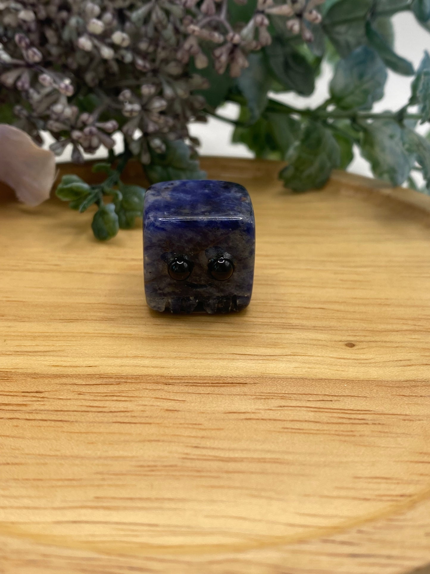 Mini Cube Buddy