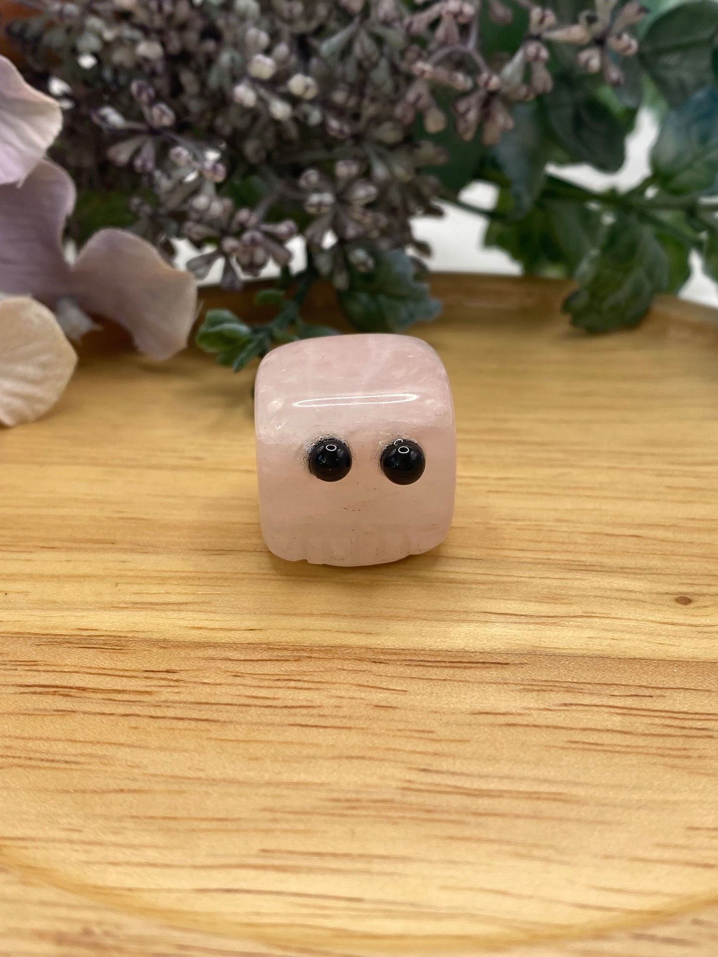 Mini Cube Buddy