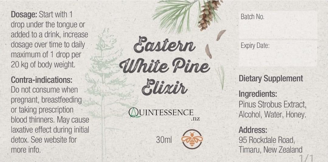 Eastern White Pine Needle Elixir - 30ml