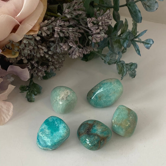 Amazonite - Tumble - Medium