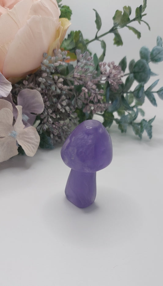 Amethyst mushroom