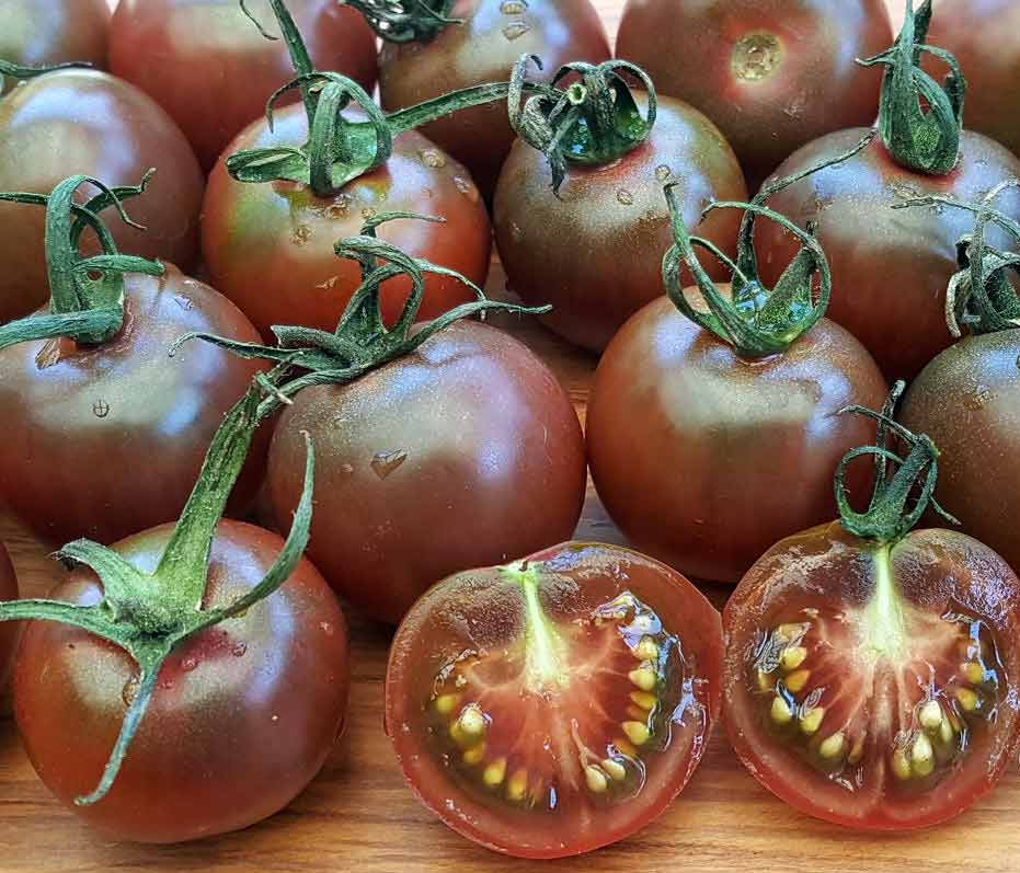 Tomato- Heirloom Black Cherry Seeds